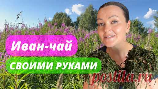 Мастер-класс по изготовлению Иван-чая: полная пошаговая инструкция | Про грибы  (Поющий грибник) и PRO-туризм | Дзен