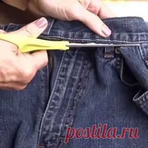 Акула и ее «обед» неожиданно поменялись местами