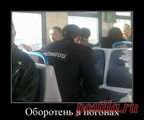 Демотиваторы, чтобы всем нескучно пятницу скоротать! | Приколисты