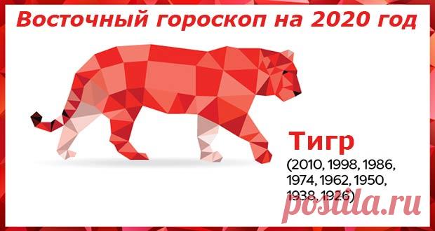 Восточный гороскоп на 2020 год Тигр: женщины и мужчины