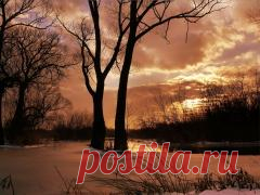 Алексей Рыбный