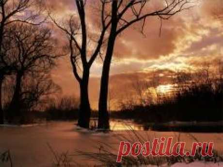 Алексей Рыбный