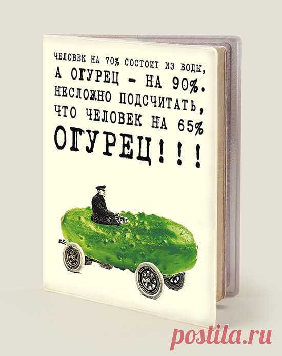 Купить обложку на паспорт (Огурец) за 220Р + подарок