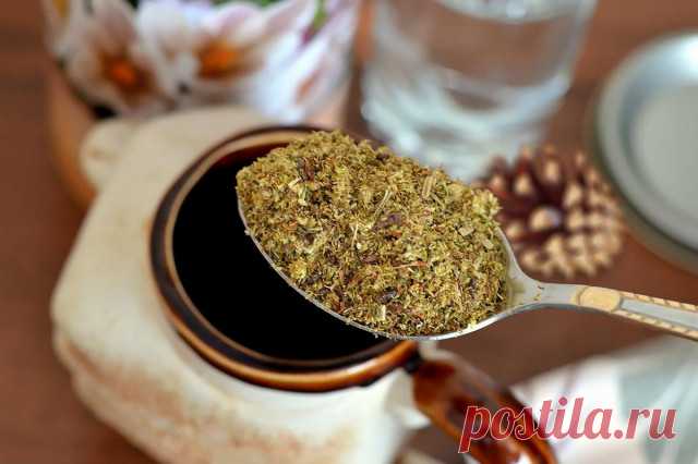 Травы ромашка зверобой бессмертник березовые почки рецепт с фото - 1000.menu