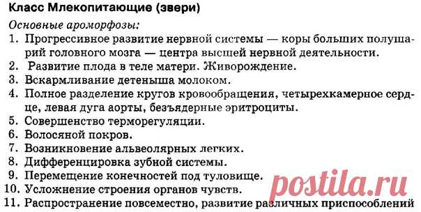 АРОМОРФОЗЫ МЛЕКОПИТАЮЩИХ