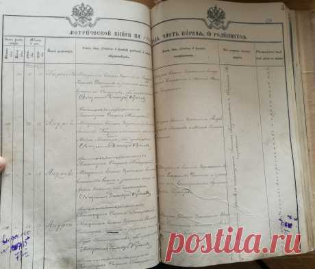 Метрические книги. Родословная - Как написать историю своей семьи?