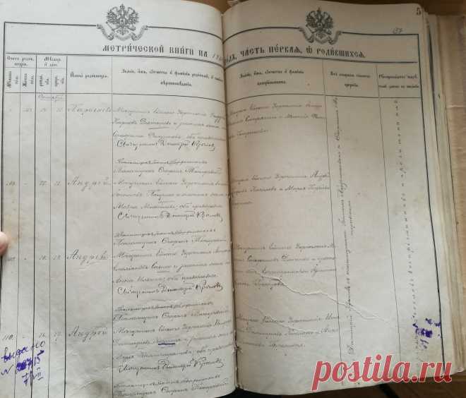 Метрические книги. Родословная - Как написать историю своей семьи?