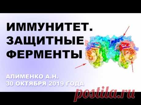 Иммунитет. Защитные ферменты. Алименко А.Н. (30.10.2019)