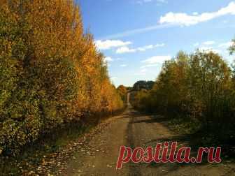 Август.  Юрьянский район Кировской области.
