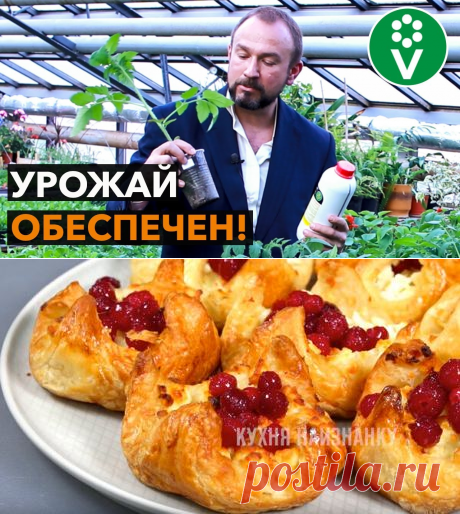 Сундук ПОЛЕЗНОСТЕЙ