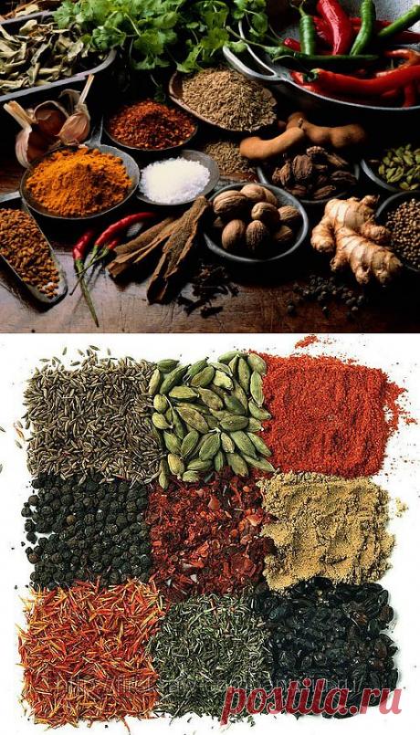 Специи и пряности | Записи в рубрике Специи и пряности | Полет фантазии и словоблудия...kIrena_Snake