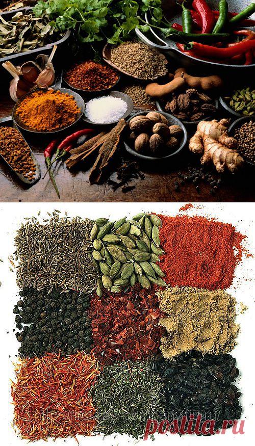 Специи и пряности | Записи в рубрике Специи и пряности | Полет фантазии и словоблудия...kIrena_Snake