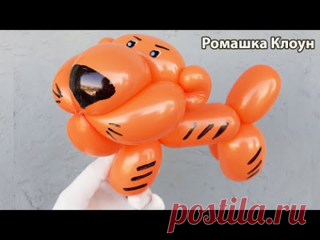 ТИГРЁНОК (тигр) ИЗ ШАРИКА Tiger Balloon Animal TUTORIAL como hacer un tigre con globos - YouTube