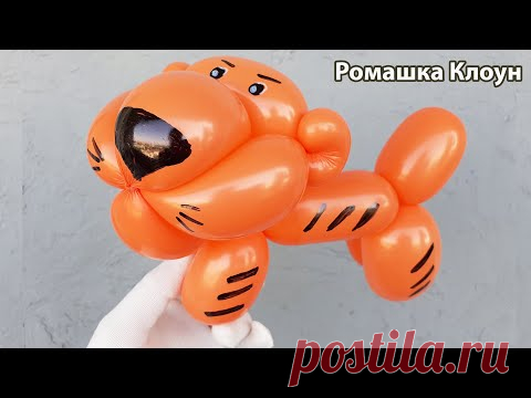 ТИГРЁНОК (тигр) ИЗ ШАРИКА Tiger Balloon Animal TUTORIAL como hacer un tigre con globos - YouTube