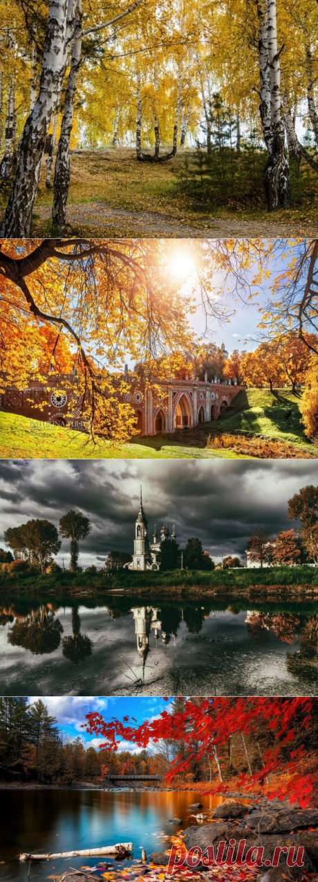 Золотая осень России.(фото)