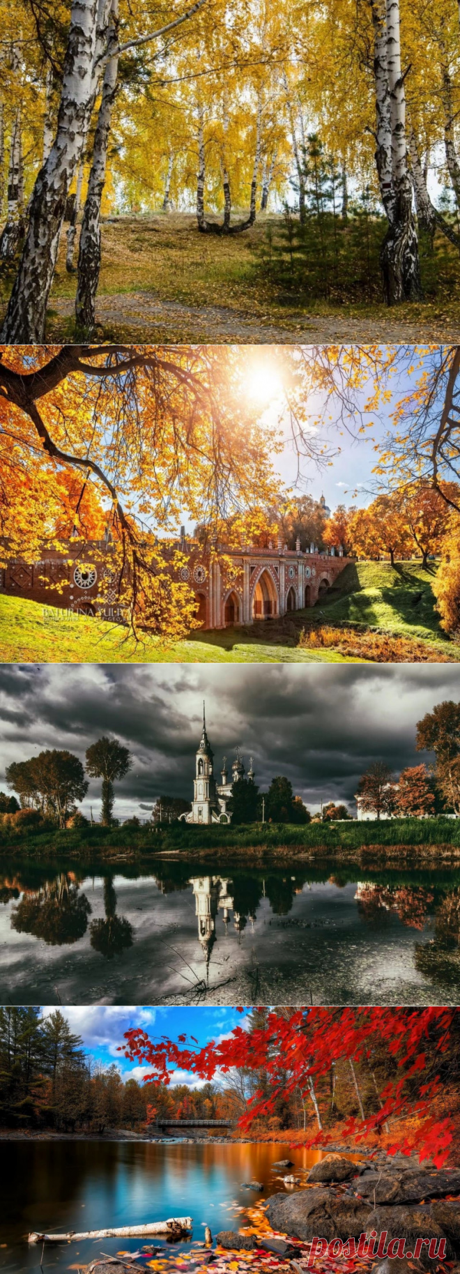Золотая осень России.(фото)