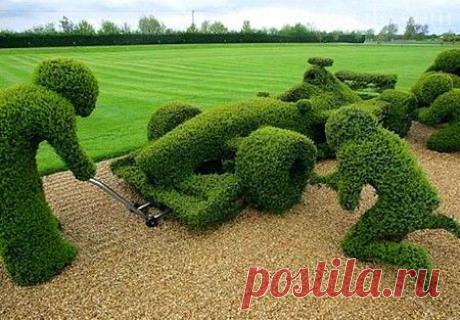 Topiar_formula1.jpg (450×313)