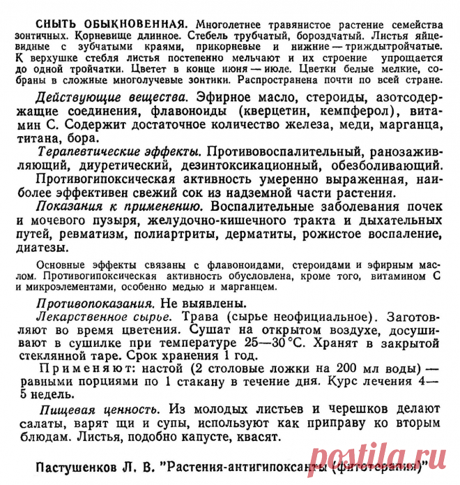 Сныть обыкновенная