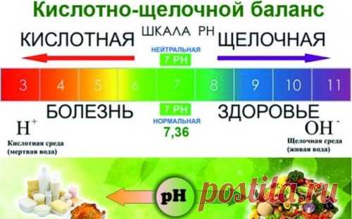 Щелочные продукты питания. Список Неумывакин, Бутакова. Таблица кислотности по процентам, показания при раке, подагре, псориазе
