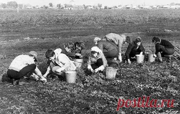 Эта девушка сбежала из Советского Союза ради американского возлюбленного - Любители истории - 22 января - 43790274334 - Медиаплатформа МирТесен