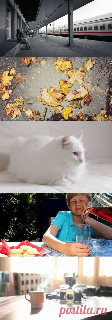 живое фото