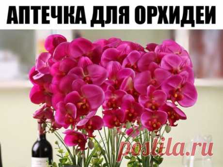АПТЕЧКА ДЛЯ ОРХИДЕИ. КРАТКИЙ СПИСОК 
1. Древесный уголь, активированный уголь – дезинфекция, подсушивание. Средства от грибков. Припудривать места срезов. 
2. Фундазол – системный фунгицид. Защита от пятнистостей, мучнистой росы,