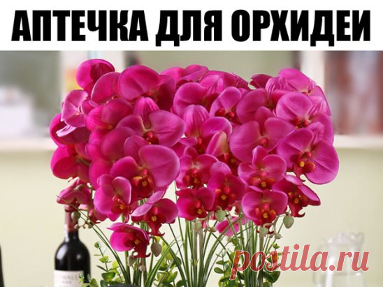 АПТЕЧКА ДЛЯ ОРХИДЕИ. КРАТКИЙ СПИСОК 
1. Древесный уголь, активированный уголь – дезинфекция, подсушивание. Средства от грибков. Припудривать места срезов. 
2. Фундазол – системный фунгицид. Защита от пятнистостей, мучнистой росы, снежной плесени, сажек, корневой гнили и прочих заболеваний грибковой природы. Точечные раны обрабатывают кашицей фундазола (0,5 ч.л. порошка на 1 ч.л. воды), для опрыскивания разводят 1 ч.л. порошка на литр воды. 
3. Фитоспорин – защита от бактериальных и грибковых за