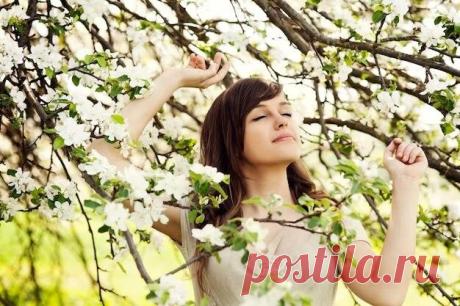 Дерево-оберег для каждого знака зодиака, которое идеально подойдёт вам по духу | Журнал о психологии, красоте и духовности | Дзен