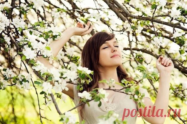 Дерево-оберег для каждого знака зодиака, которое идеально подойдёт вам по духу | Журнал о психологии, красоте и духовности | Дзен