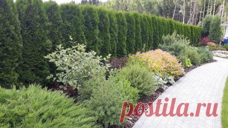 Как правильно: Спрятать некрасивый забор | Houzz Россия