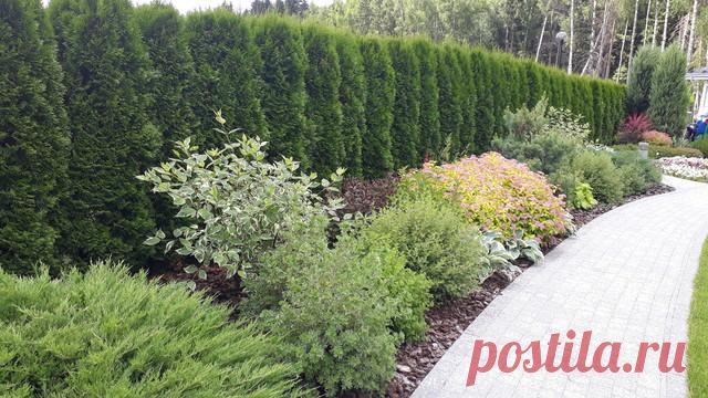 Как правильно: Спрятать некрасивый забор | Houzz Россия