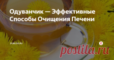 Одуванчик — Эффективные Способы Очищения Печени Работа  всего организма в значительной степени зависит от здоровья печени.  Болезни этого важного органа возникают не только от неумеренного  употребления алкоголя. Состояние окружающей среды, стрессы, неправильное  питание, наследственный фактор – все это  также влияет на состояние  печени.