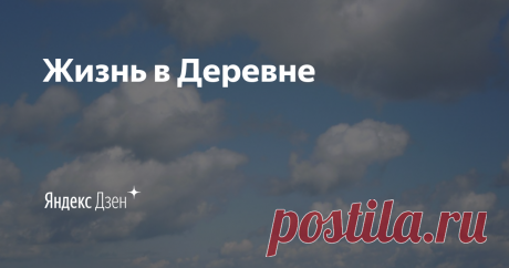 Жизнь в Деревне | Яндекс Дзен Всем привет! Я разносторонний человек. Создал канала для общения и чтобы делиться своим мнением с людьми)
