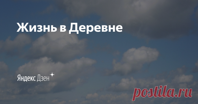 Жизнь в Деревне | Яндекс Дзен Всем привет! Я разносторонний человек. Создал канала для общения и чтобы делиться своим мнением с людьми)