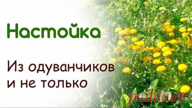Целебная настойка от миозита, невралгий, болей в суставах и спине