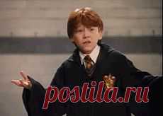 (+1) тема - Проблема с Гугл Хром. | Компьютерная помощь