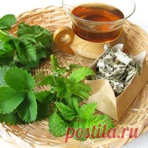 Как я вылечила почки листьями земляники