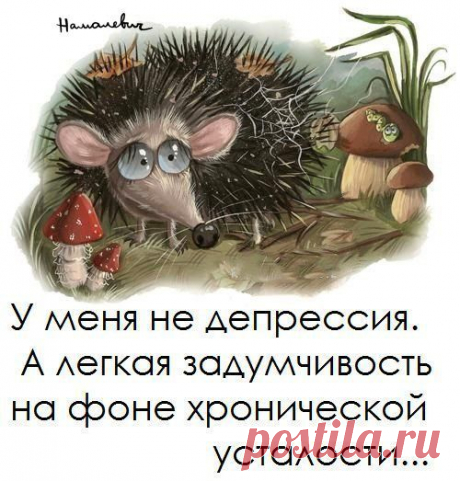 Улыбну!лись!))) - про Ёжика из Германии)