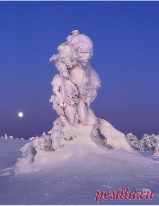 (11) Beautiful World