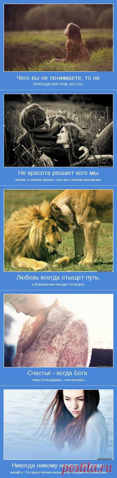 Поищите СВОЙ мотиватор ;)