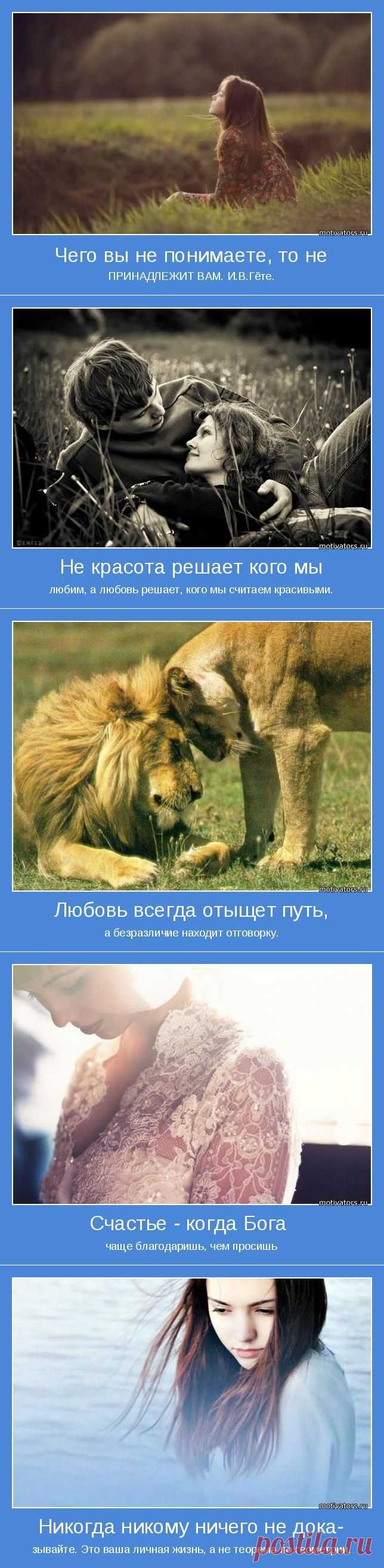 Поищите СВОЙ мотиватор ;)
