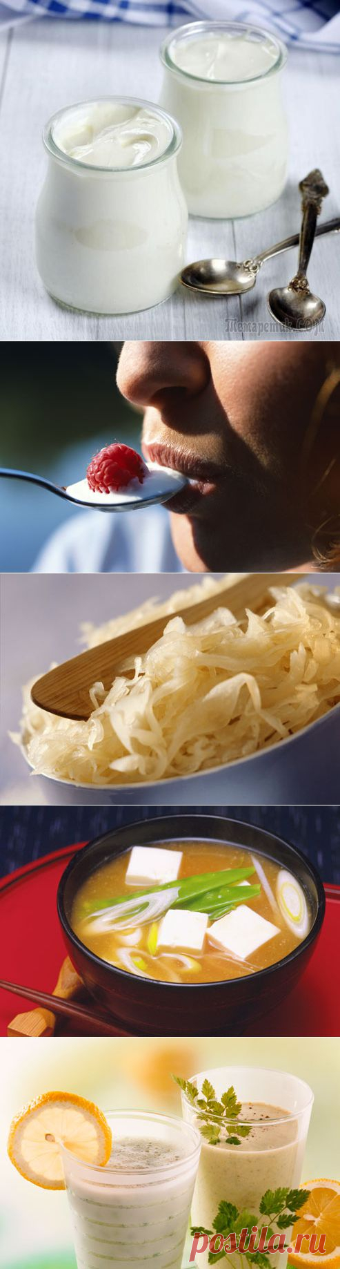 10 лучших природных пробиотиков