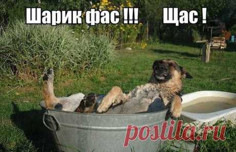 Позитивные фотографии для хорошего настроения | Домашняя аптечка