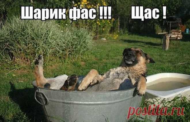 Позитивные фотографии для хорошего настроения | Домашняя аптечка