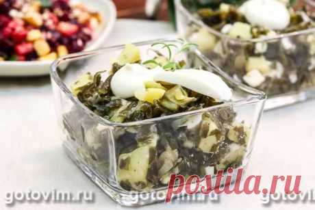 Салат с морской капустой и картофелем. Рецепт с фото - Домашние рецепты приготовления вкусных блюд