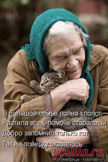 Всегда вместе | KotoMail.ru