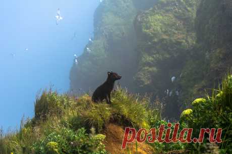 Photo by BigPicture on March 20, 2025. May be an image of bear, brown bear and text.