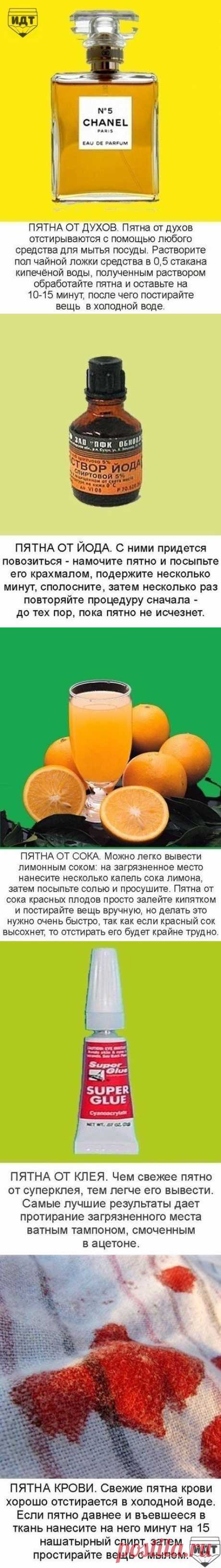 Полезные советы - как вывести пятна разного типа