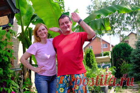 Россиянин продал элитную квартиру и начал выращивать бананы. Российский программист Михаил Холманов продал элитную квартиру и вместе с женой Татьяной решил построить загородный дом. Участок на даче стал местом, где супруги начали заниматься садоводством. В настоящее время они выращивают экзотические цветы, бананы, магнолии, оливковые деревья и редкие виды сосен.