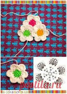 Flores